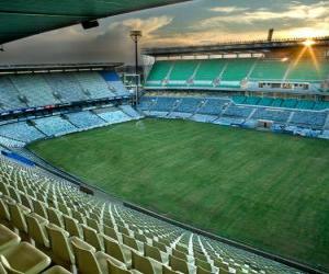 пазл Free State Stadium (45.058), Mangaung - Bloemfontein